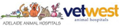 Animation Company Logo
